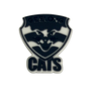 AFL Victoria - Geelong Cats  charm